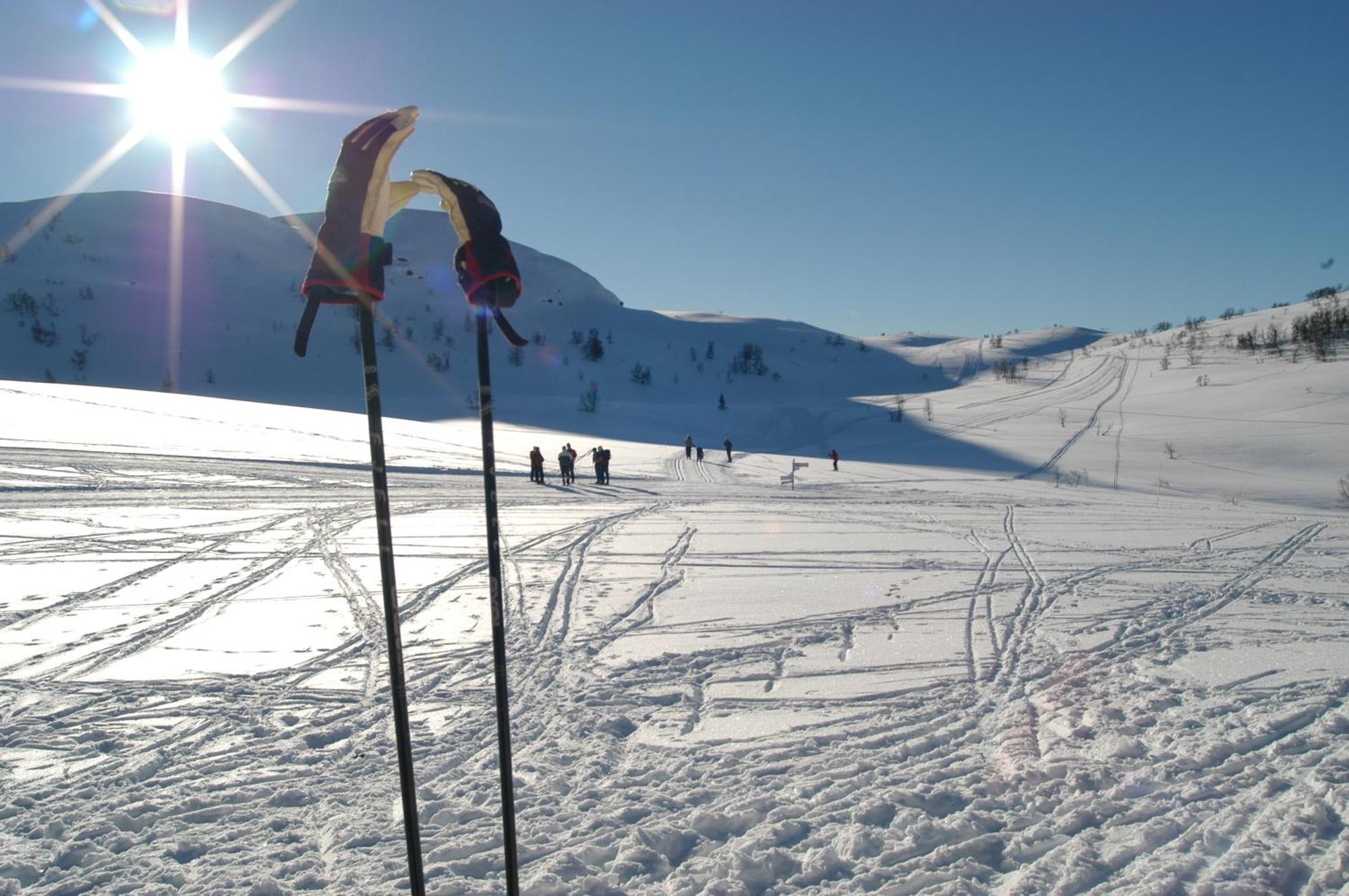 Rauland Hogfjellshotell Esterno foto